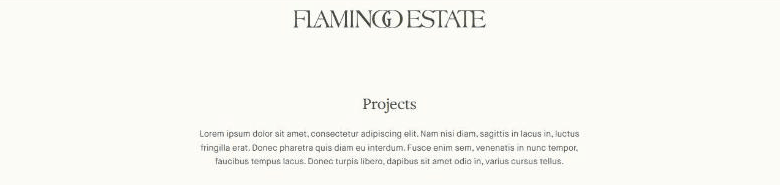 Live capture of flamingoestate.com/pages/projects showing Lorem ipsum placeholder text as the opening paragraph